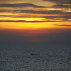 Seagulls in Switzerland