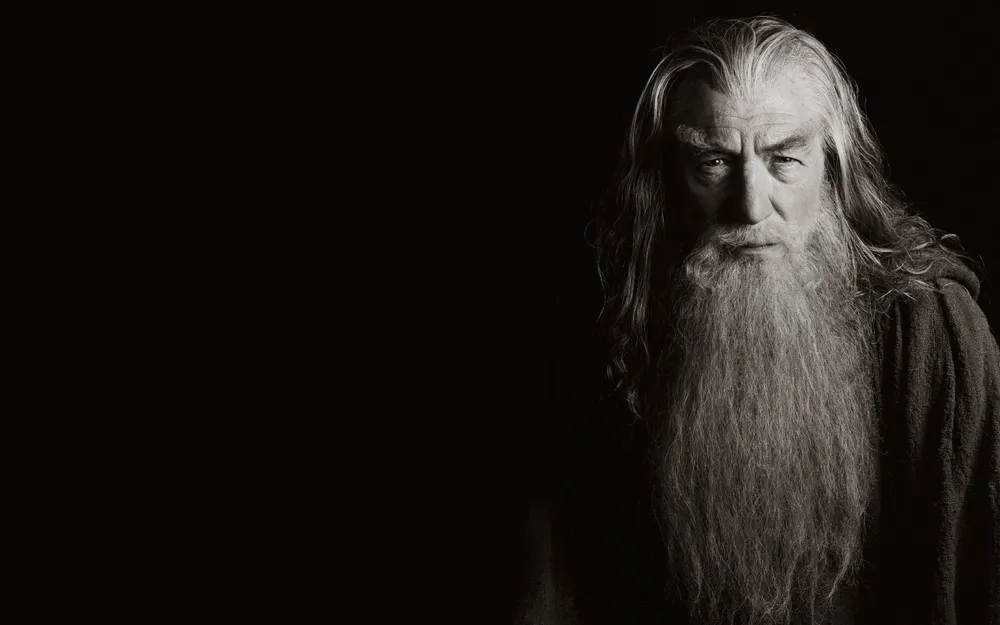 Wallpaper Gandalf The Lord of the Rings 1680x1050