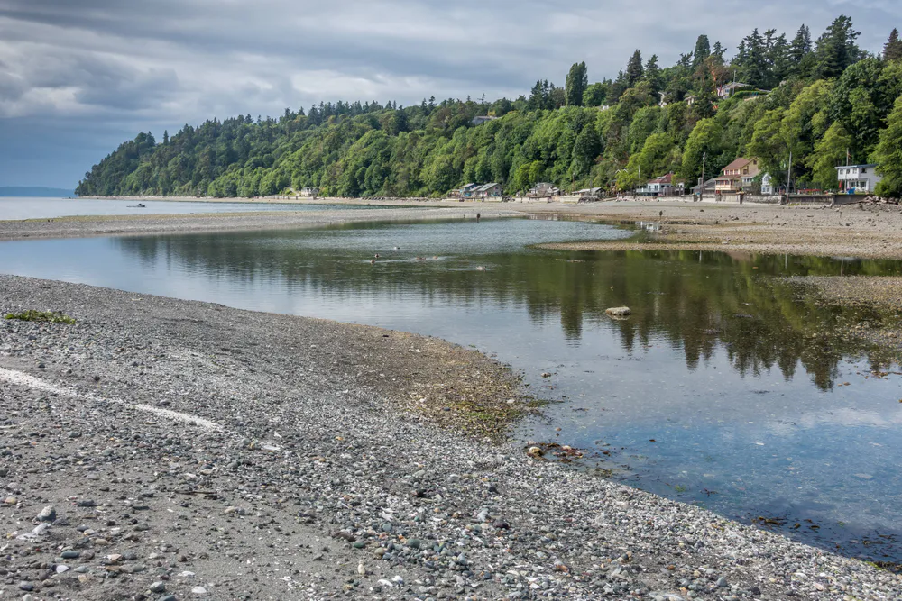Wallpaper Pacific northwest shoreline at low tide. 2800x2100