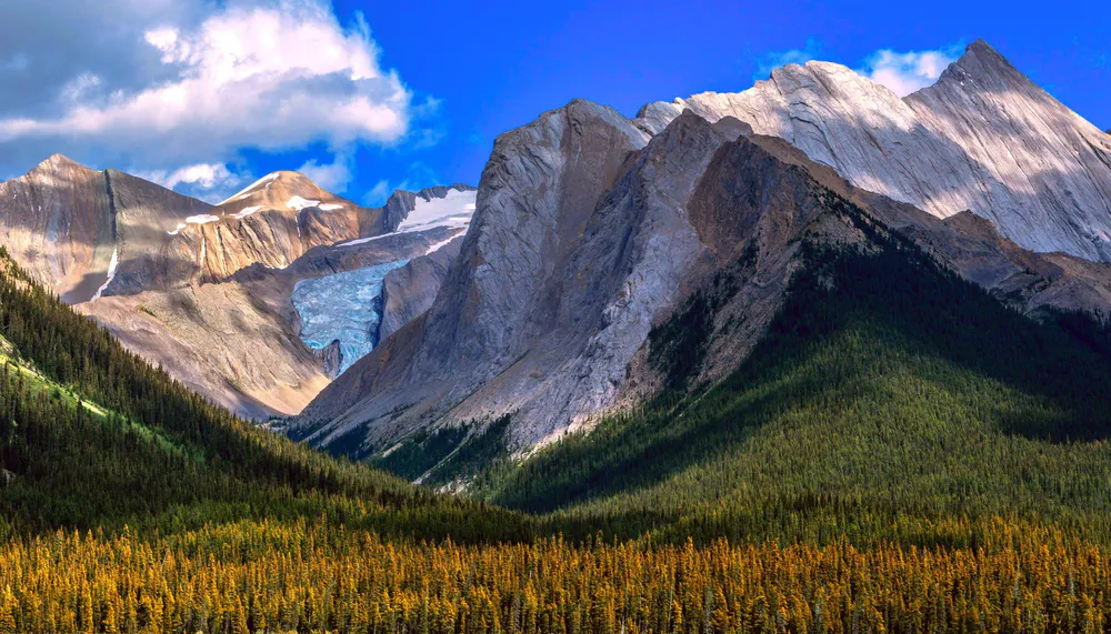 Обои Rugged Mountain Forest Landscape Glacier 1280x720