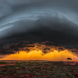 Rain Water Drops Asphalt Dark