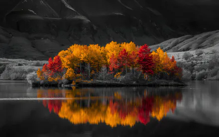 Озеро, Черно-белый, Красное-листья, Отражение, Горный-пейзаж, Лесной-массив, Контраст, Amoled