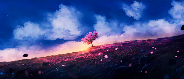 Поле, Лепестки, Звездное небо, Облака, Сакура, Закат, Фэнтези, Пейзаж, Ultrawide