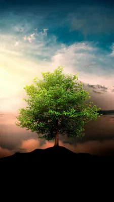 Небо, Облака, Закат, Свет, Силуэт, Зелень, Ландшафт, Amoled, AI Art