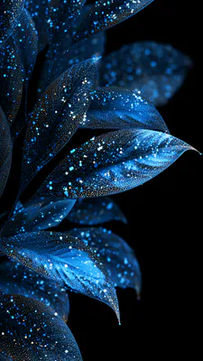 Синий, Светящийся, Листья, Частицы, Темный, Черный фон, Природа, Fineart