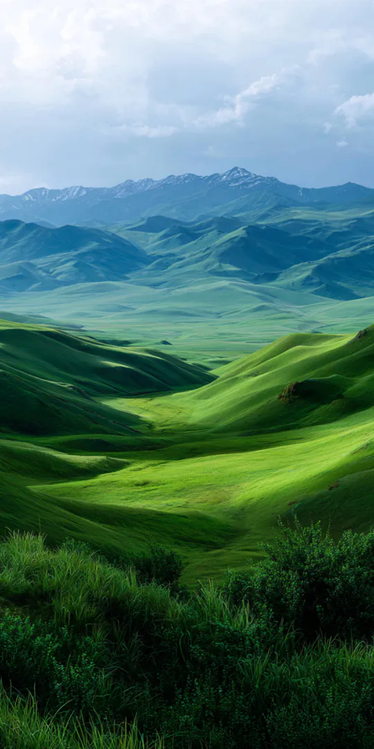 Обои на телефон: Зеленая горная долина