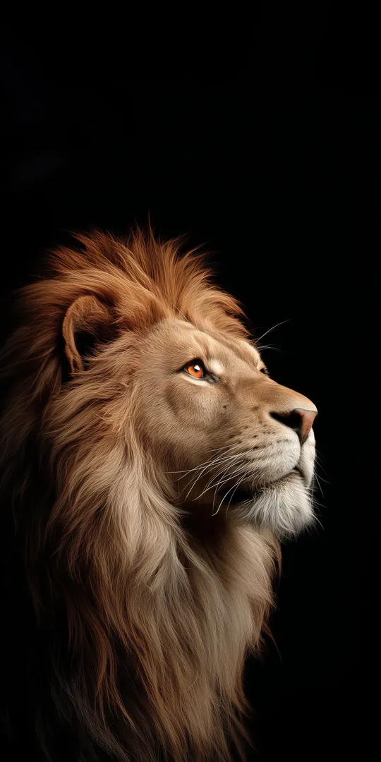 Phone wallpaper: Majestic profile of a lion