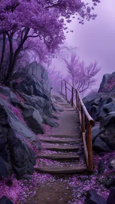 Деревянная лестница, Каменистая тропа, Лепестки цветов, Туманный, Лиственные деревья, Природа, Безмятежный, Живописный, На открытом воздухе