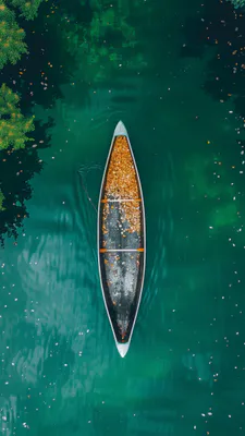 Вода, Лодка, Зеленый, Листья, Осень, Природа, Спокойствие, Отражение