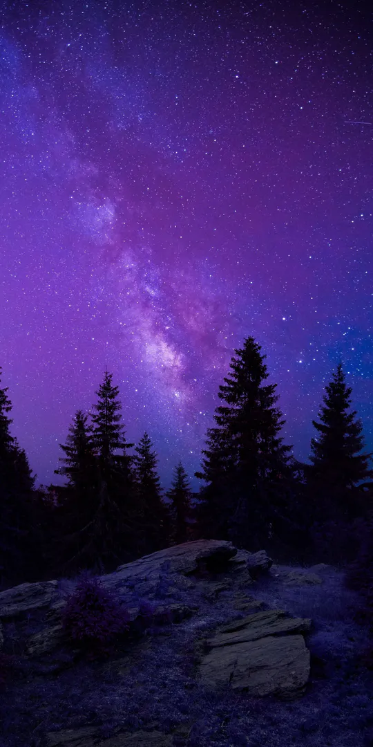 Обои на телефон: Звездное ночное небо