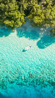 Бирюзовая вода, Зелень, Береговая линия, Пальмы, Лодочка, Спокойный, Лето, Отпуск, Природа