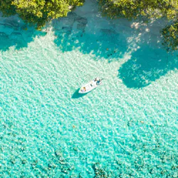 Тропический лесной берег