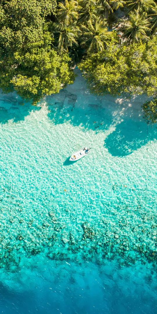 Обои на телефон: Вид на тропический пляж