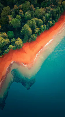 Тропический, Пляж, Океан, Лес, Береговая линия, Деревья, Вода, Песок, Волны