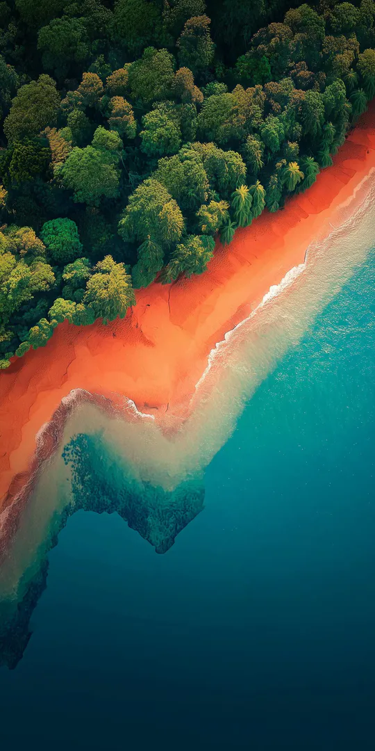 Обои на телефон: Тропический лесной берег