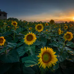 Горж дю вердон