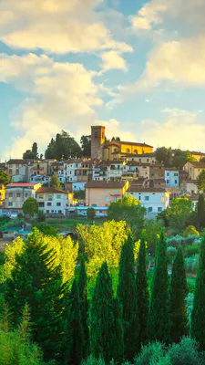 Cypresses, Church, Hill, Old Houses, Golden Light, Clouds, Rural Landscape