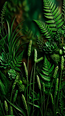 Fern, Succulents, Grasses, Moss, Dark Background, Detail, Vertical Composition