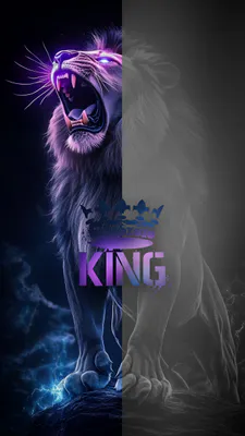Lion, King, Purple, Wicked