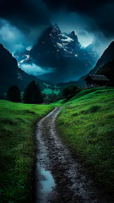 Trail, Mountains, Sky, Gloomy, Landscape, Trees
