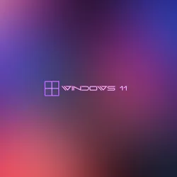 Windows 11