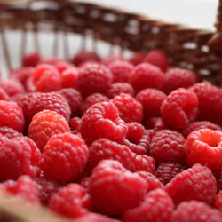 Vegetable basket