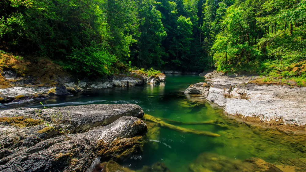Wallpaper Mountain forest stream 1280x720