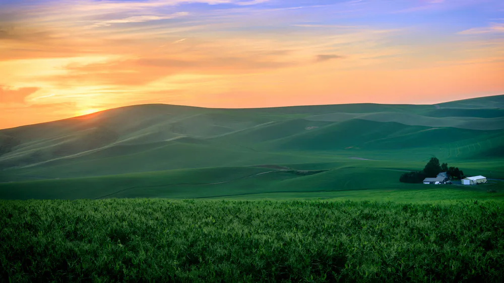 Wallpaper Sunset 3440x1440