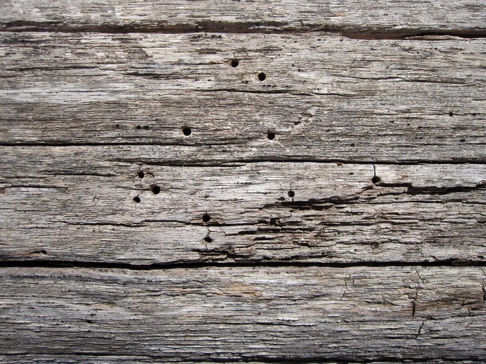 Wallpaper Black Gray Planks Wood 3440x1440