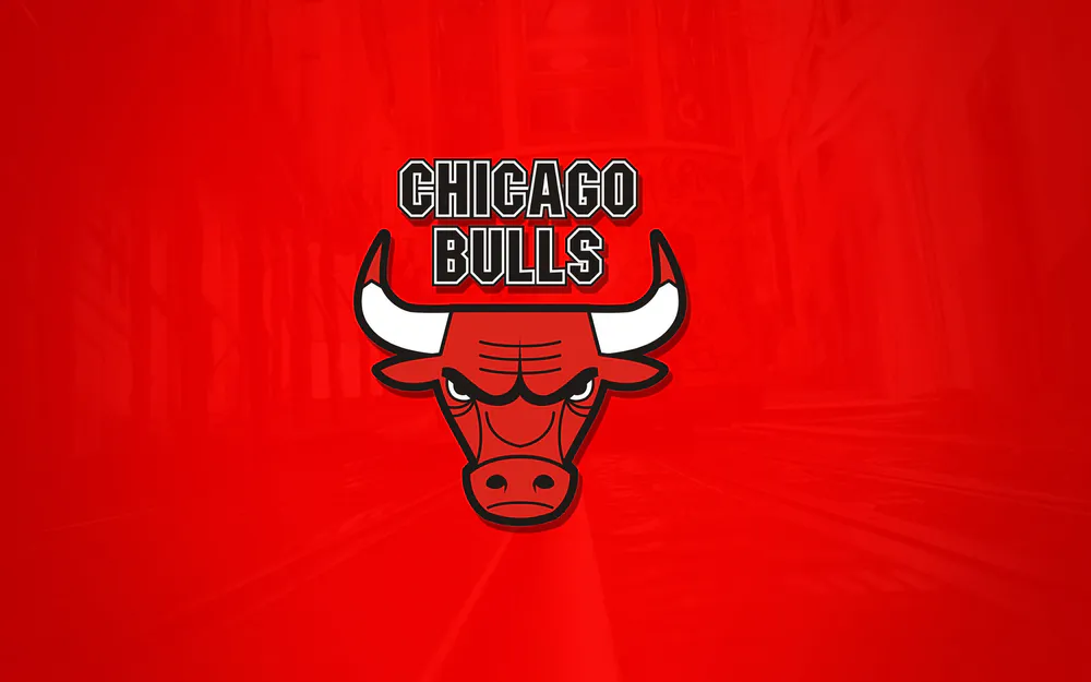Обои The Chicago Bulls 2880x1800