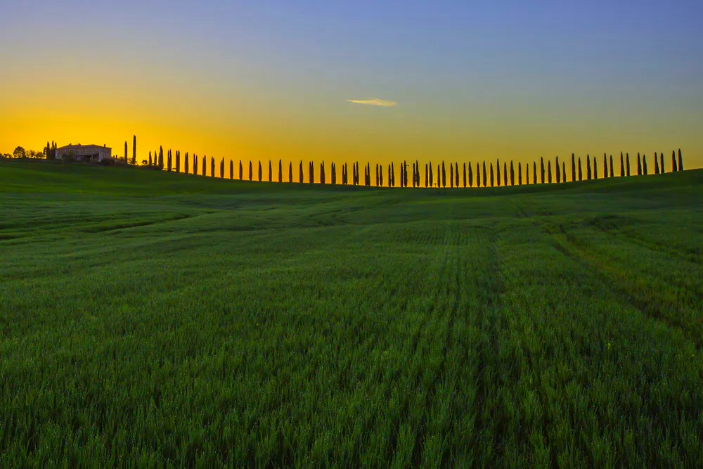 Обои Поле 1920x1080