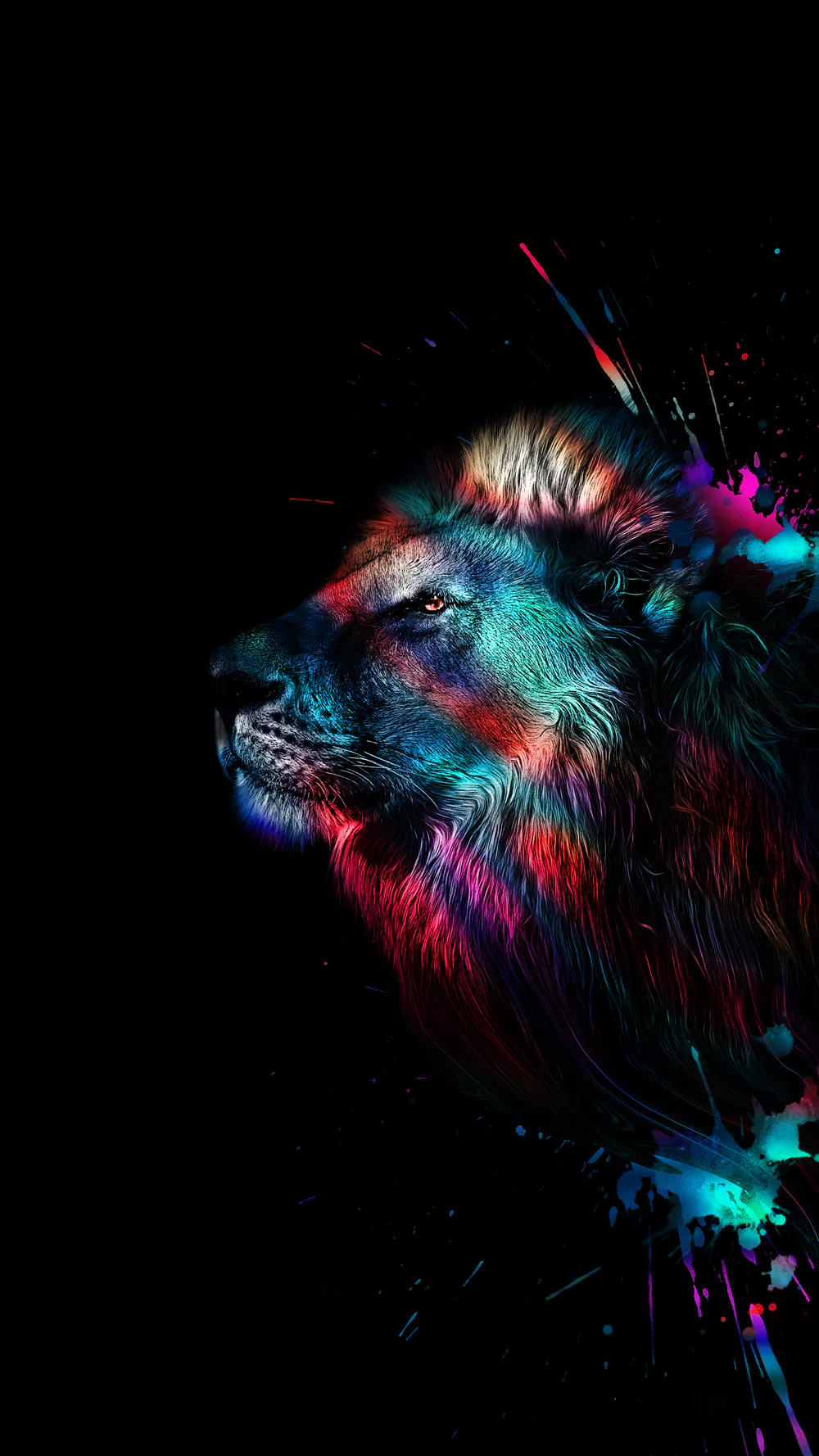 Wallpaper A lion 3840x2160
