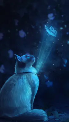 Cat, Cat, Butterfly, Light, Glow, Magic, Sorcery, Science Fiction, Fantasy, Blue, Dark Background, Night, Glowing Butterfly, Animal, Art, Illustration, Digital Drawing