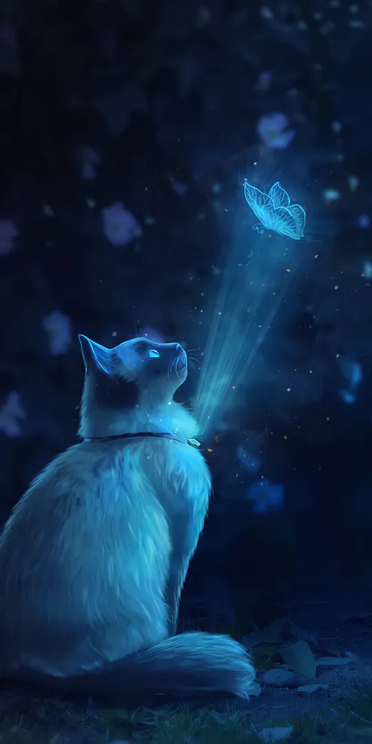Phone wallpaper: Cat
