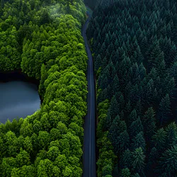 Landscape high