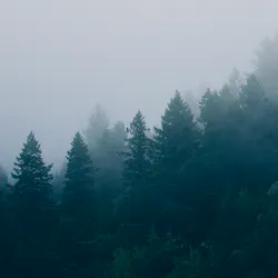 Alps