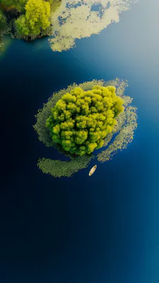 Мох, Плавучие острова, Водная растительность, Озеро, Весовая лодка, Вид сверху, Изумрудные островки, AI Art