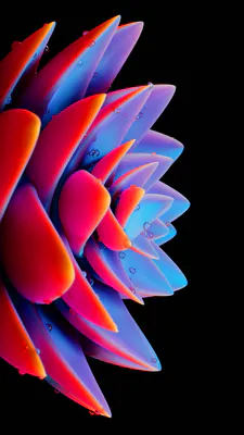 Neon Palette, 3D Rendering, Petals, Water Drops, Bright Gradients, Blue Pink, Black Background, Digital Illustration, AI Art