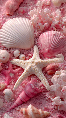 Морские раковины, Морская звезда, Кораллы, Розовый песок, Морской берег, Ракушки, Тропическое побережье, Пастельные цвета