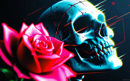 Черный фон, Череп, Роза
