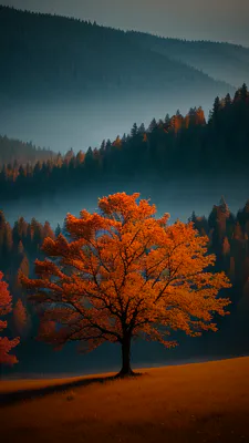 Дерево, Пейзаж, Туман, Горы, Золотой, Лес, Свечение, Природа
