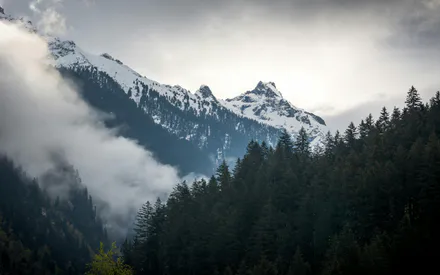 Горы, Природа, Лес, Облака