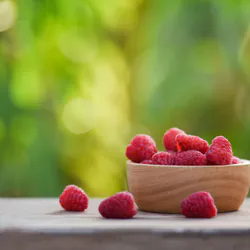 Vitamins – A Brief Introduction About Their Features