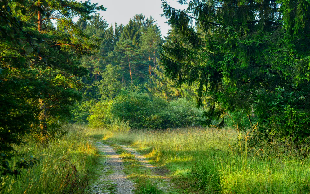 Wallpaper Nature 2560x1440