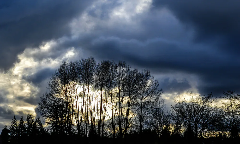 Обои Природа 2560x1440