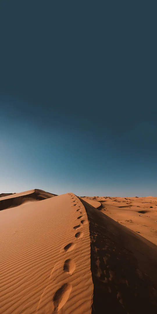 Шпалери на телефон: Сліди на піщаних дюнах