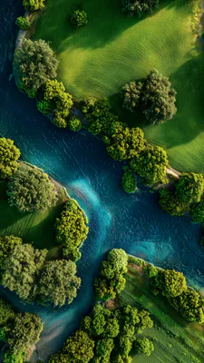 Річка, Вид з дрону, Аерофото, Зелений ліс, Природа, Пейзаж, Річковий берег, Дерева, Літній пейзаж, Природні шпалери