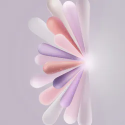 Firework