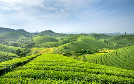 Hills, Nature, Greens, Fields, Landscape, Spring, Summer, Plants, Sky, Peace, Harmony, Landscape, Rural Area