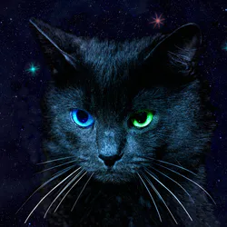 Tapichalaca Torrenteer